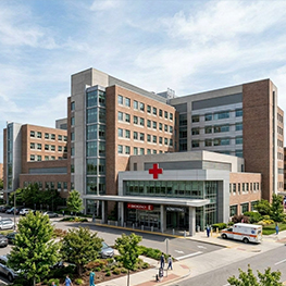 Healthcare & Medical